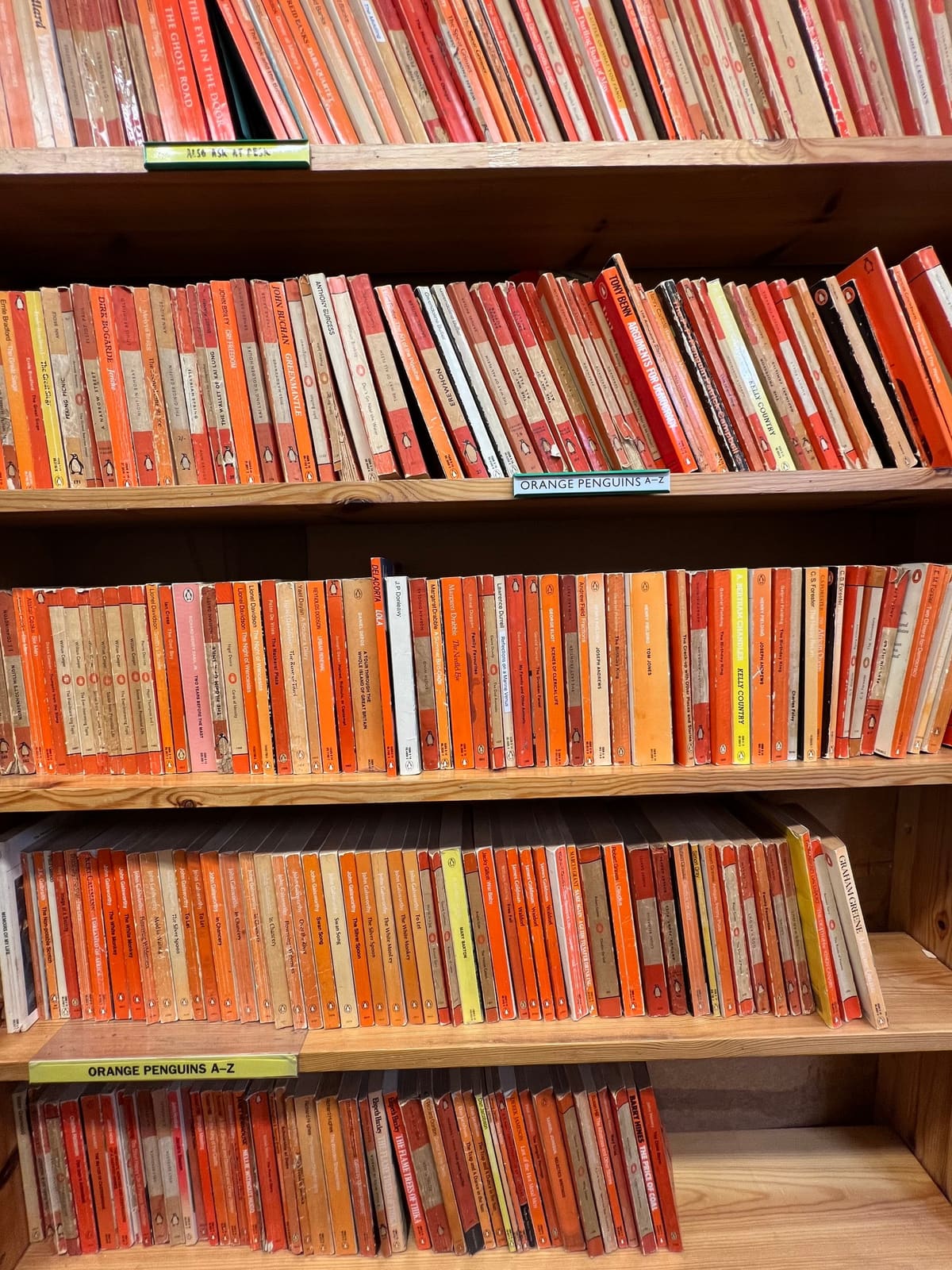 Orange Penguin paperbacks with varied spine typography arranged on wooden shelves in a used bookshop.