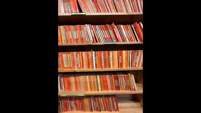Orange Penguin paperbacks with varied spine typography arranged on wooden shelves in a used bookshop.