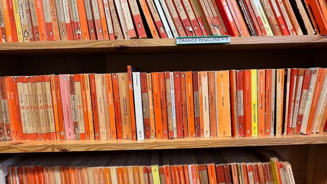 Orange Penguin paperbacks with varied spine typography arranged on wooden shelves in a used bookshop.